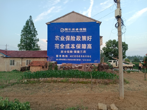 霍山墙体广告为何受追捧?